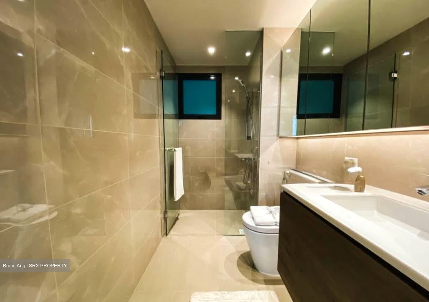 Treasure at Tampines (D18), Condominium #560354571